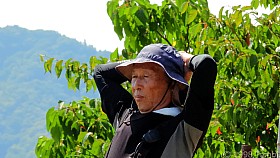 DSCN6155a_c.JPG